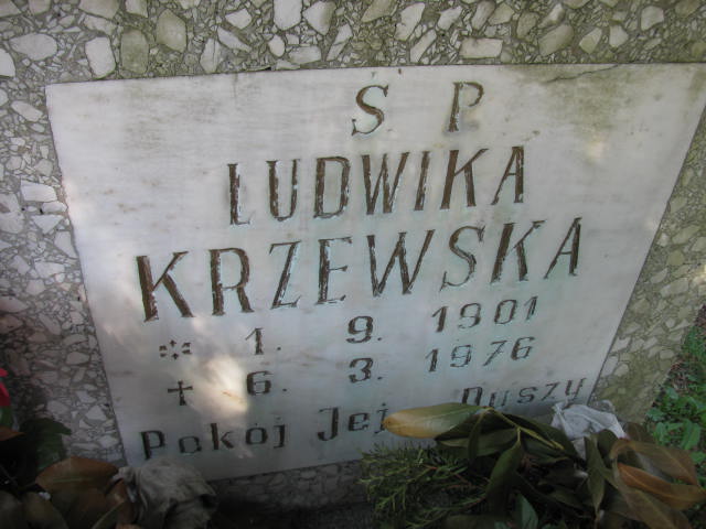 Grób Ludwika Krzewska
